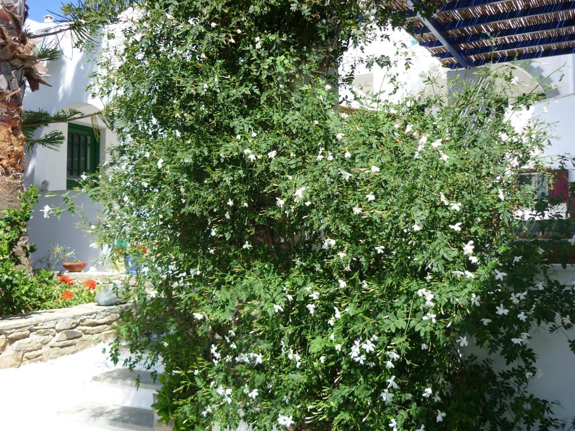 Porto Vlastos Agios Ioannis  Exteriér fotografie